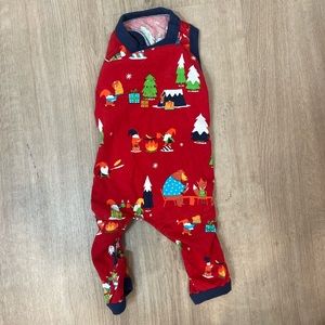 Small dog wondershop matching family pj